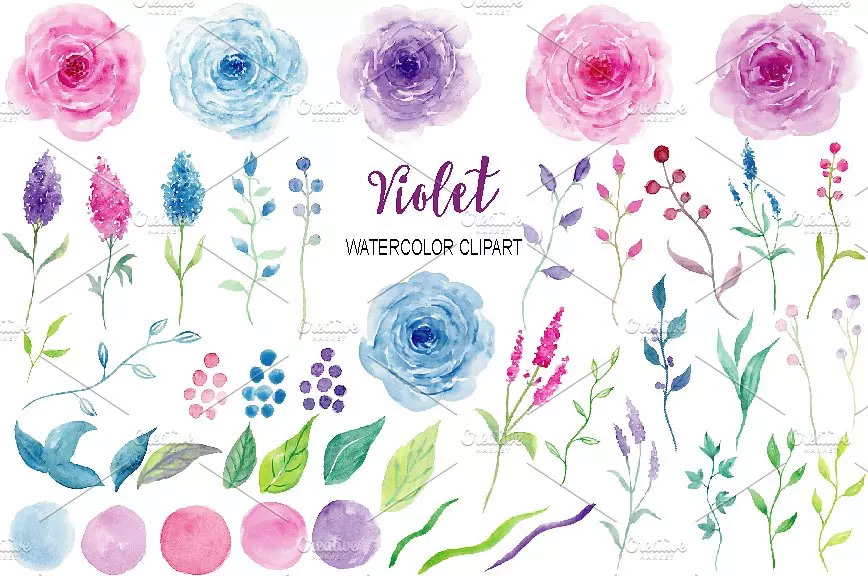 紫色水彩花卉 Watercolor Clipart Viol