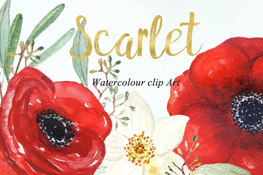 银莲花水彩剪贴画 Anemones scarlet Wate