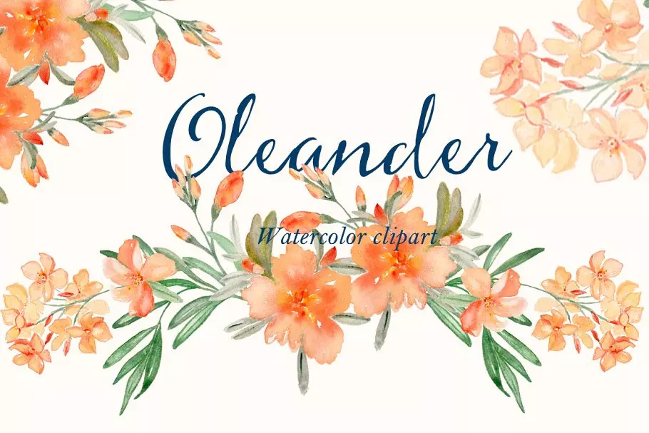 水彩夹竹桃花卉剪贴 Peach Oleander. wate