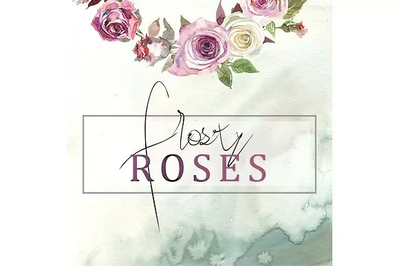 霜白玫瑰花水彩 Frosty Roses Watercolo