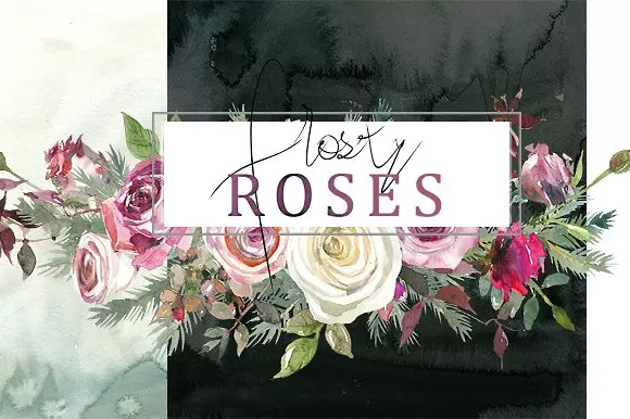 霜白玫瑰花水彩 Frosty Roses Watercolo