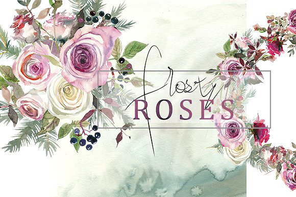 霜白玫瑰花水彩 Frosty Roses Watercolo