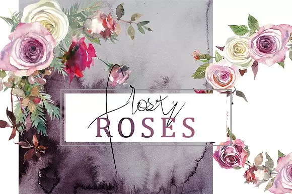 霜白玫瑰花水彩 Frosty Roses Watercolo