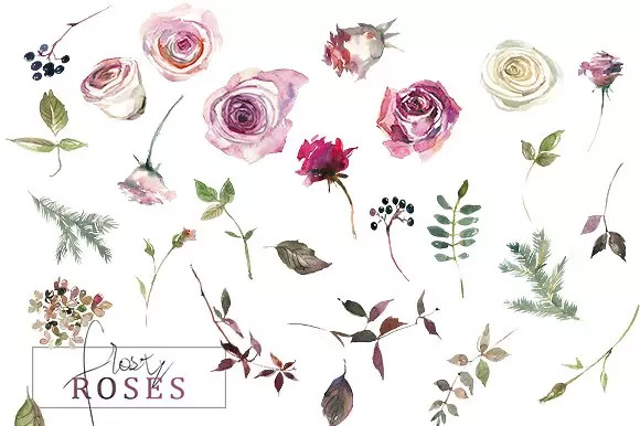 霜白玫瑰花水彩 Frosty Roses Watercolo