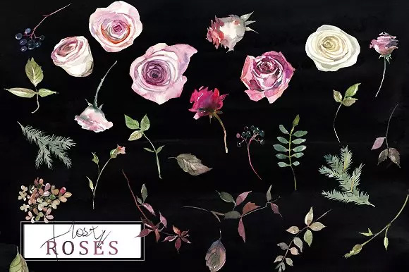 霜白玫瑰花水彩 Frosty Roses Watercolo