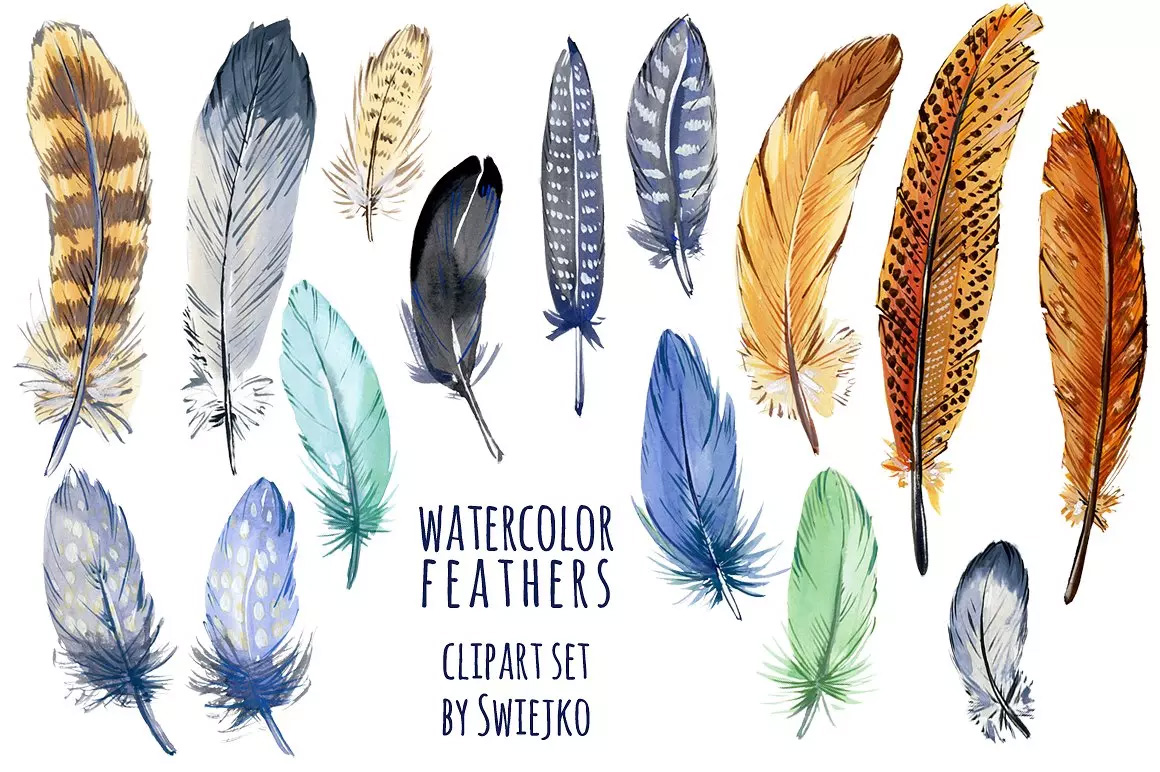 水彩多彩羽毛剪贴画 Watercolor feather c