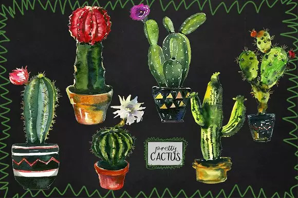 仙人掌水彩剪贴画 Pretty Cactus Waterco