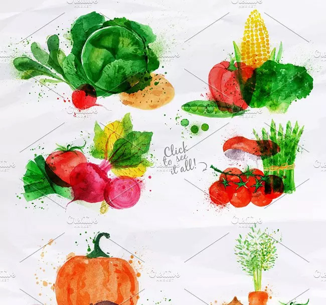 常见蔬菜水彩剪切画素材包 Vegetables Waterc