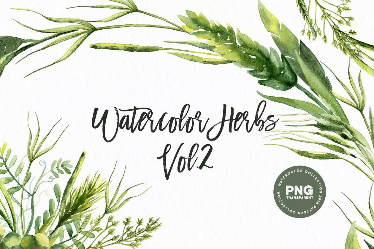 草本药草水彩插画 Watercolor Herbs Vol.