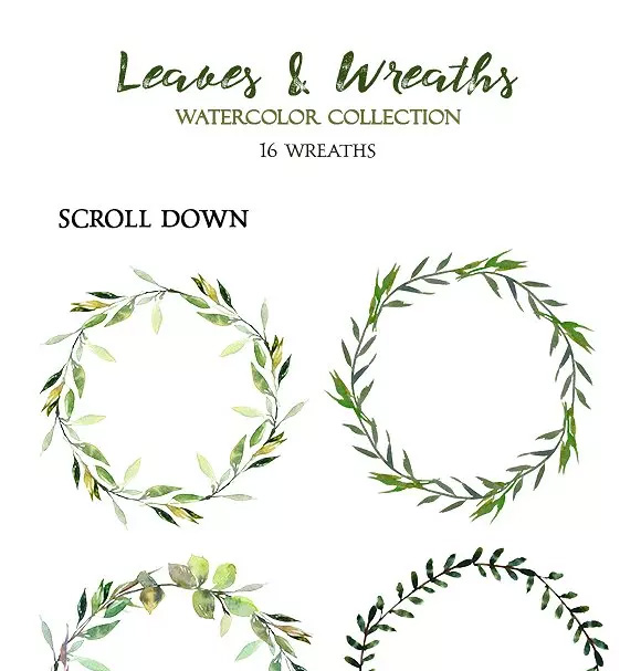 树叶花圈水彩 Leaves and Wreaths Wate