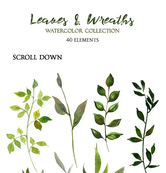 树叶花圈水彩 Leaves and Wreaths Wate