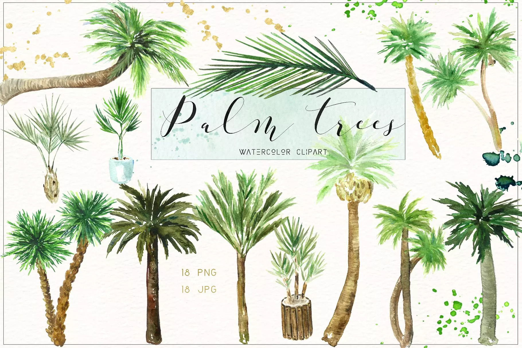 椰子树水彩剪贴画 Palm trees. Watercolo