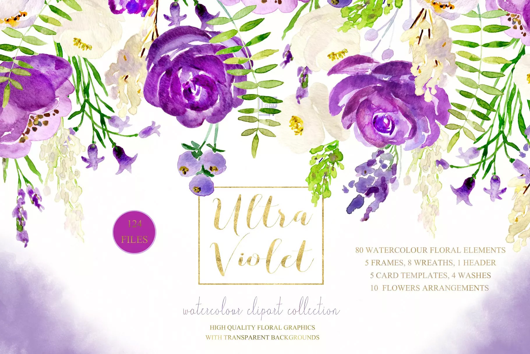 紫色水彩丁香花剪贴画 Ultraviolet waterco