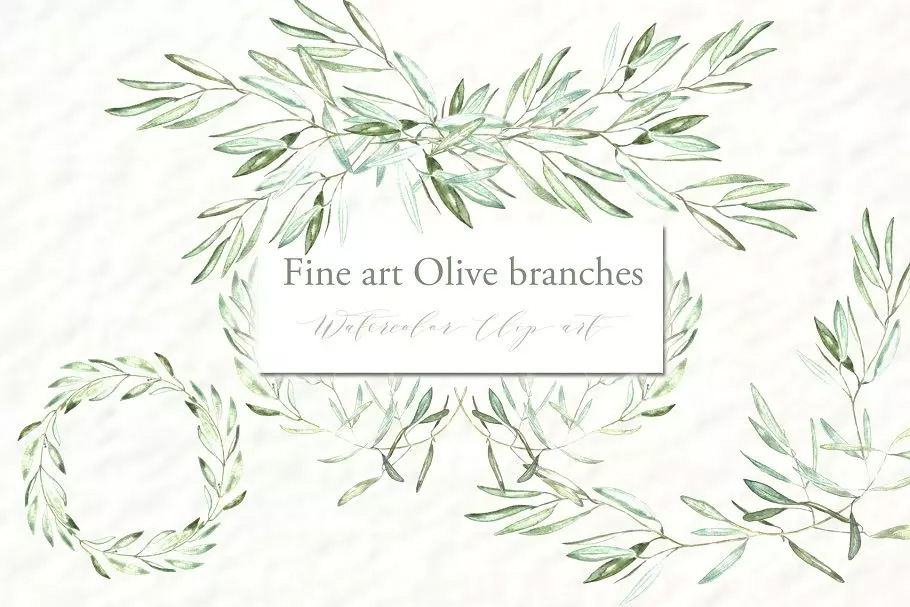 橄榄枝美术水彩剪贴画 Olive branches. Fin