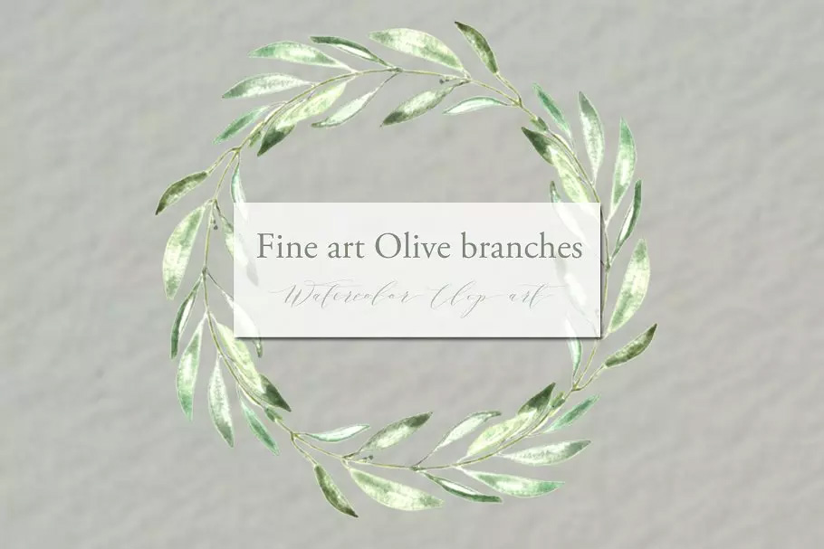 橄榄枝美术水彩剪贴画 Olive branches. Fin