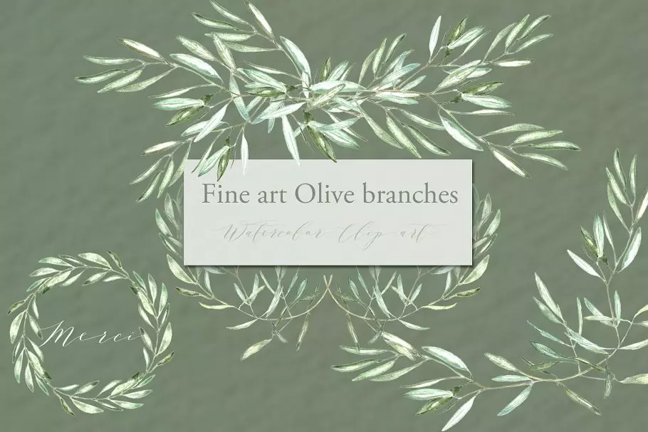 橄榄枝美术水彩剪贴画 Olive branches. Fin