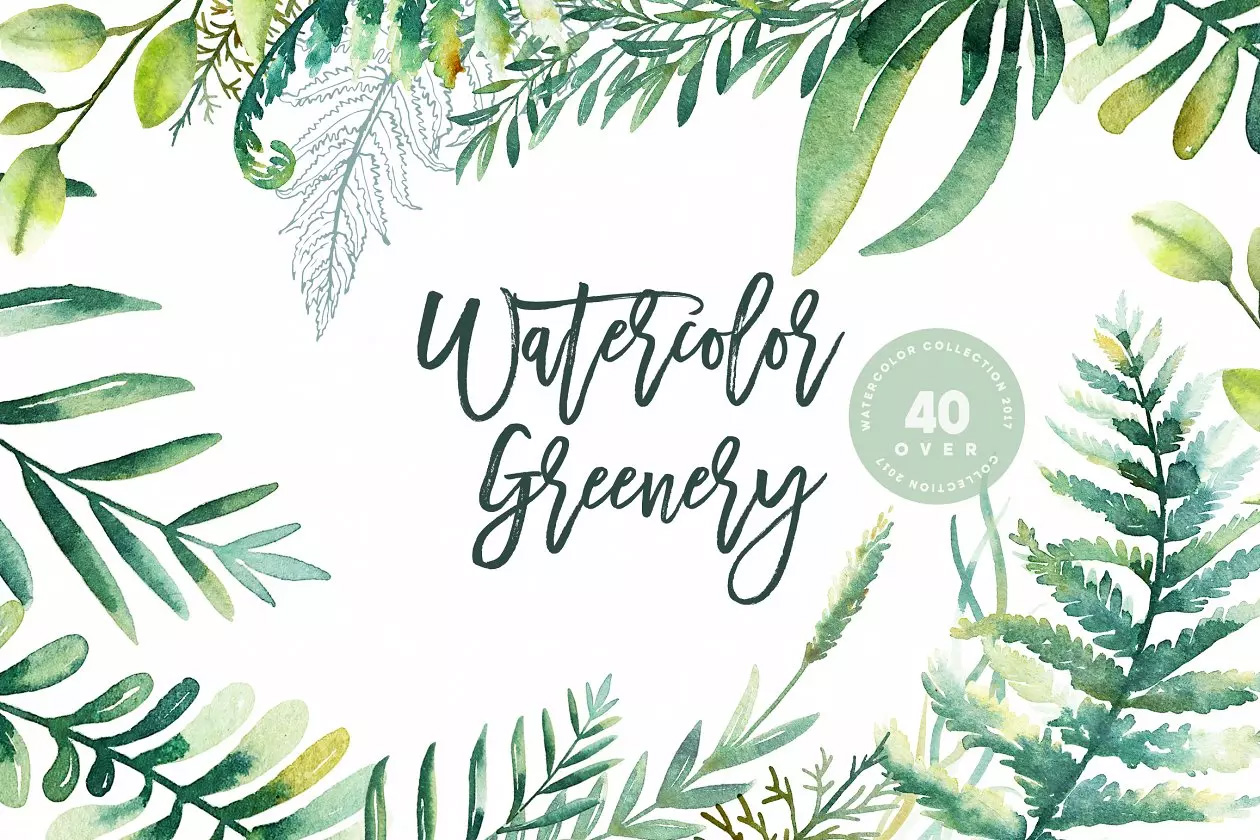 40个绿色植物水彩插画 Watercolor Greener