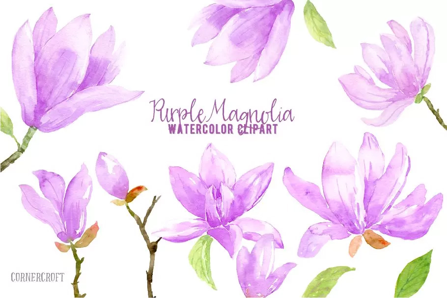 紫玛瑙色彩花卉水彩剪贴画 Watercolor Purple