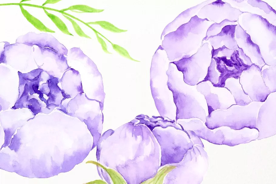 水彩紫丁香花束 Watercolor Lilac Peony