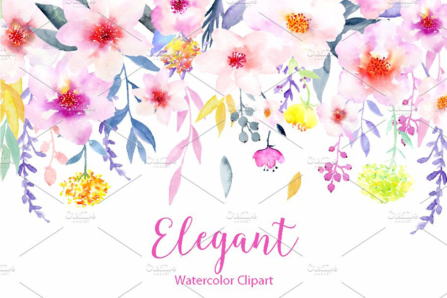 水彩花卉精品图案素材 Watercolor Flower C