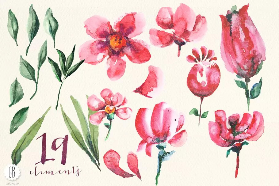 半透明红色花卉水彩剪贴画 Aquarelle waterco