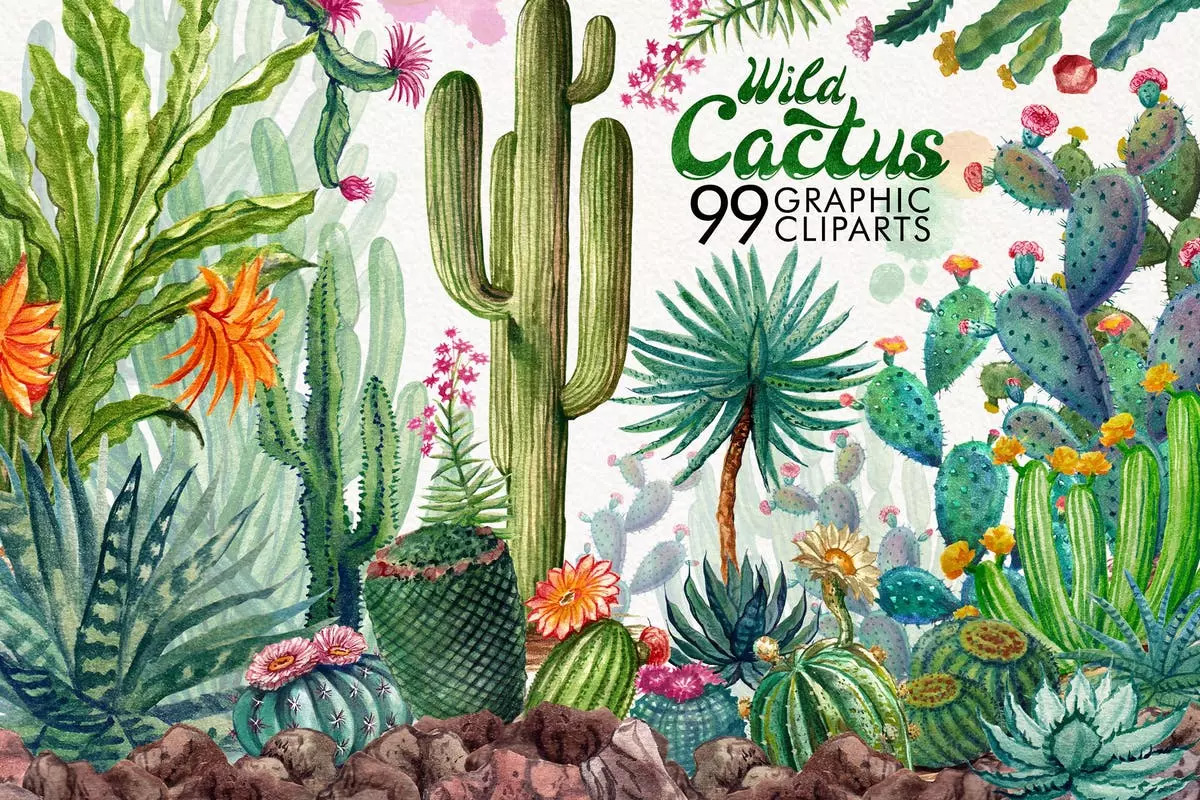 水彩仙人掌剪贴画 Watercolor Cactuses