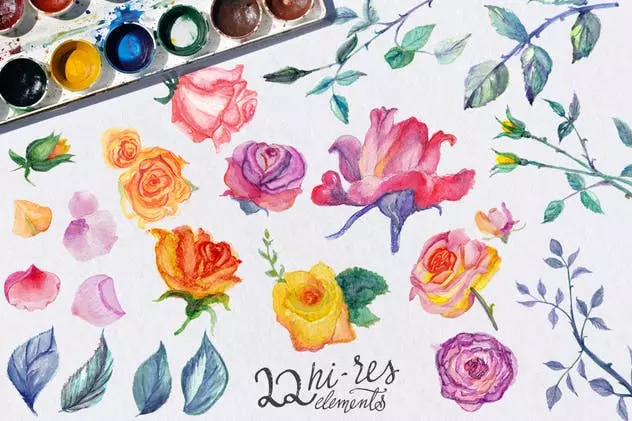 高分辨率水彩玫瑰DIY插画 Watercolor Roses