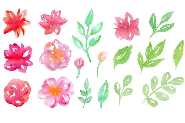 水彩花卉 叶子无缝图案 Watercolor Flowers
