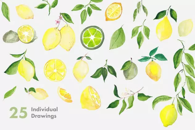 柠檬 酸橙手绘水彩插画 Lemons & Limes