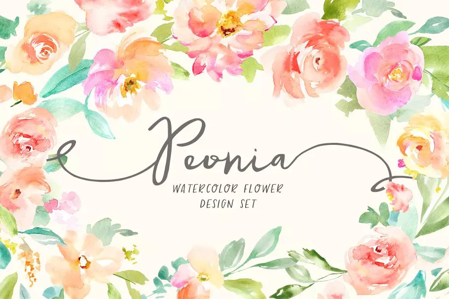 水彩花卉插画 Peonia Watercolor Flowe