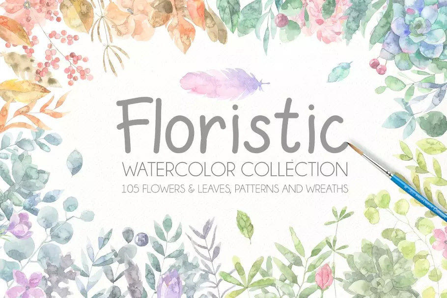 水彩植物插画 Floristic Watercolor Co