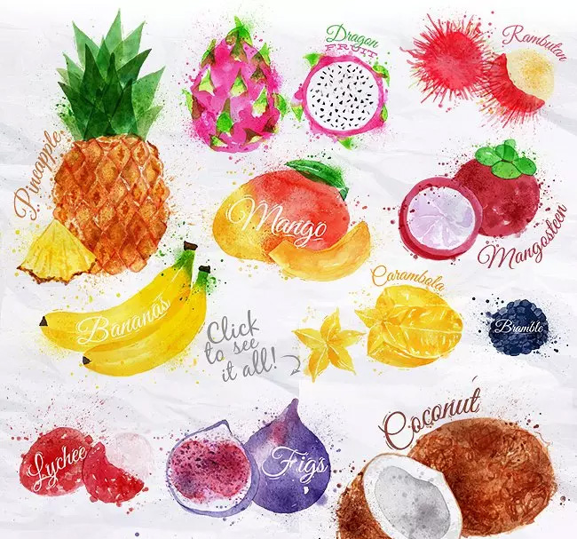 各种水果水彩剪贴画 Fruit Watercolor