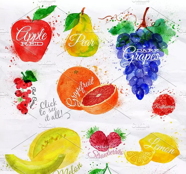 各种水果水彩剪贴画 Fruit Watercolor