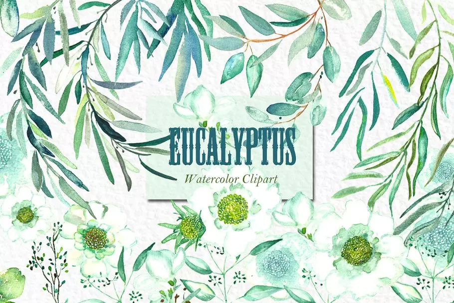 桉树叶水彩剪贴画&水彩装饰字体 Eucalyptus