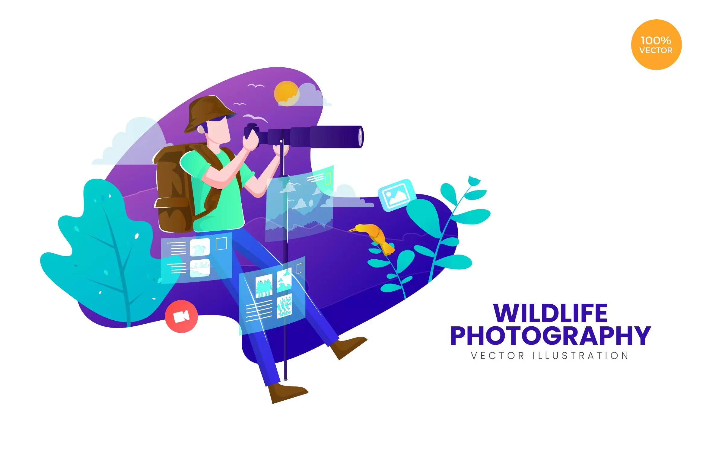野生动物摄影主题APP&网站设计矢量概念插画