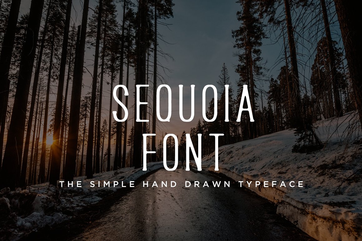 复古手绘英文衬线字体 Sequoia - Hand Draw