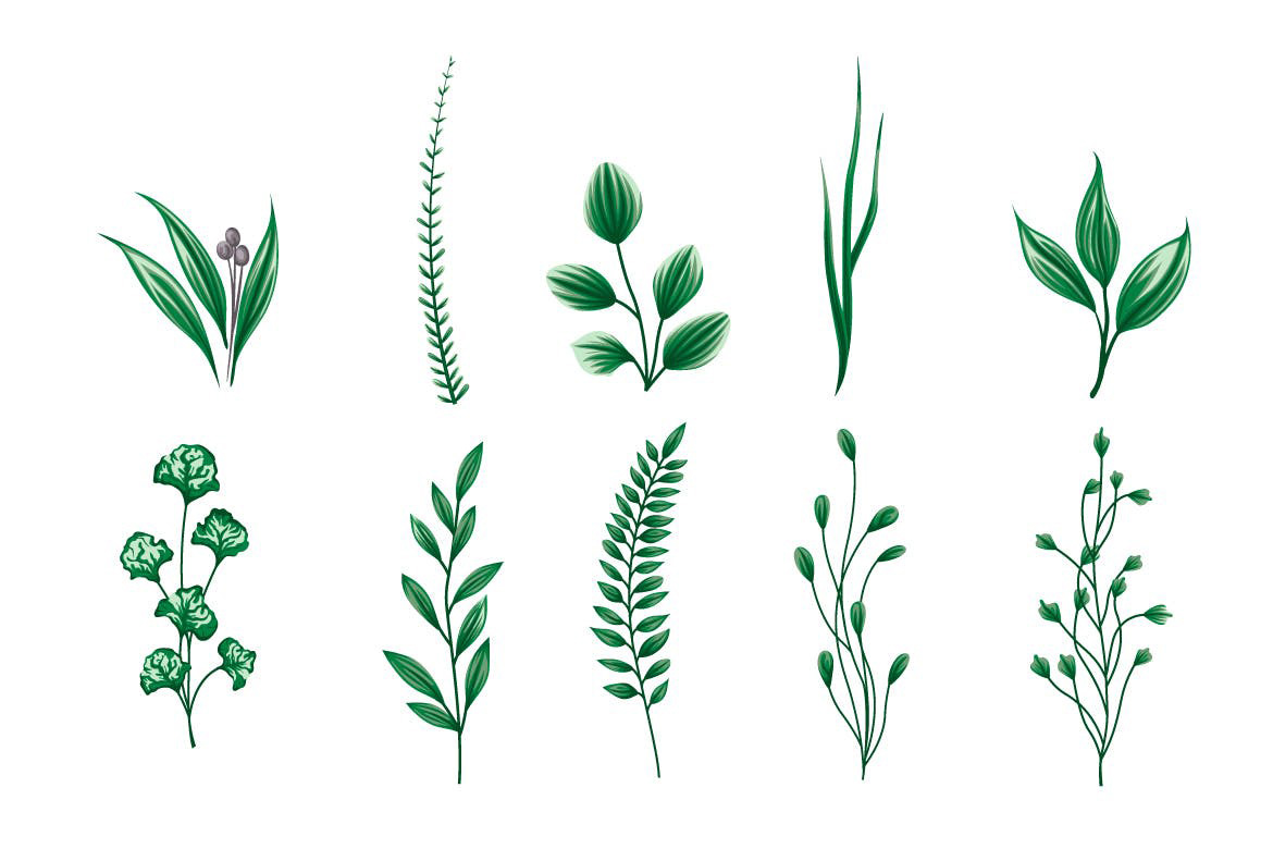 20个简约优雅植物树叶绿叶矢量插画集合-AI，EPS，JPG