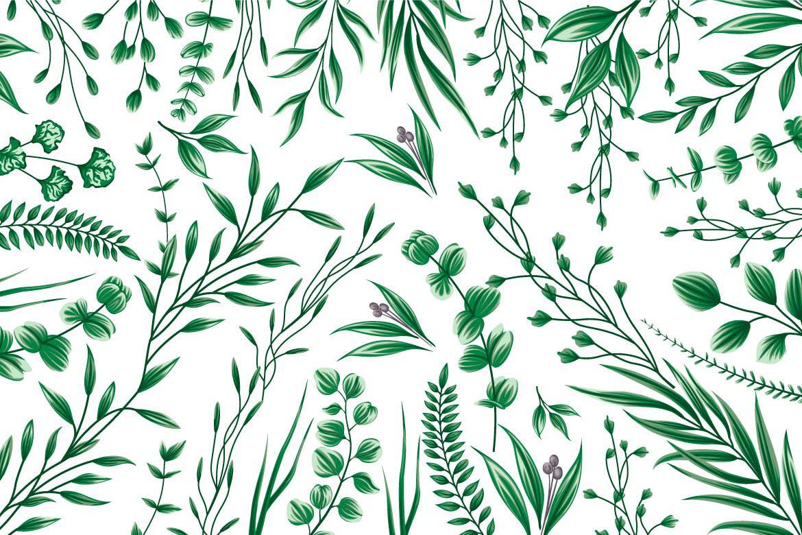20个简约优雅植物树叶绿叶矢量插画集合-AI，EPS，JPG