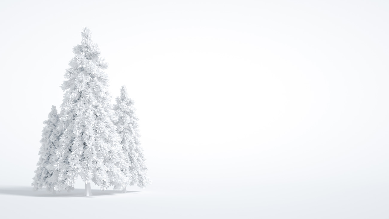 白色雪松圣诞树新年圣诞节装饰元素3D渲染合成高清背景 3d
