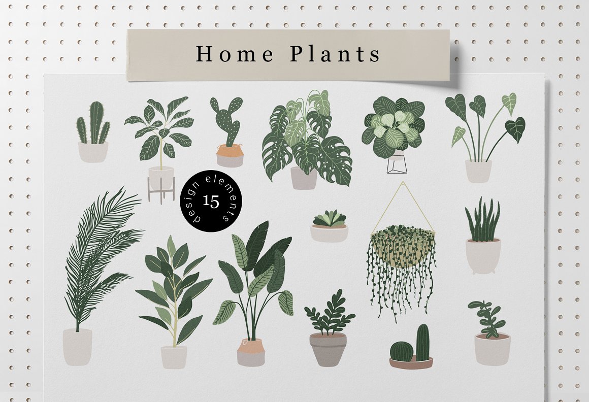 室内家具摆设植物装饰陈设矢量插画素材合辑 Cozy Home