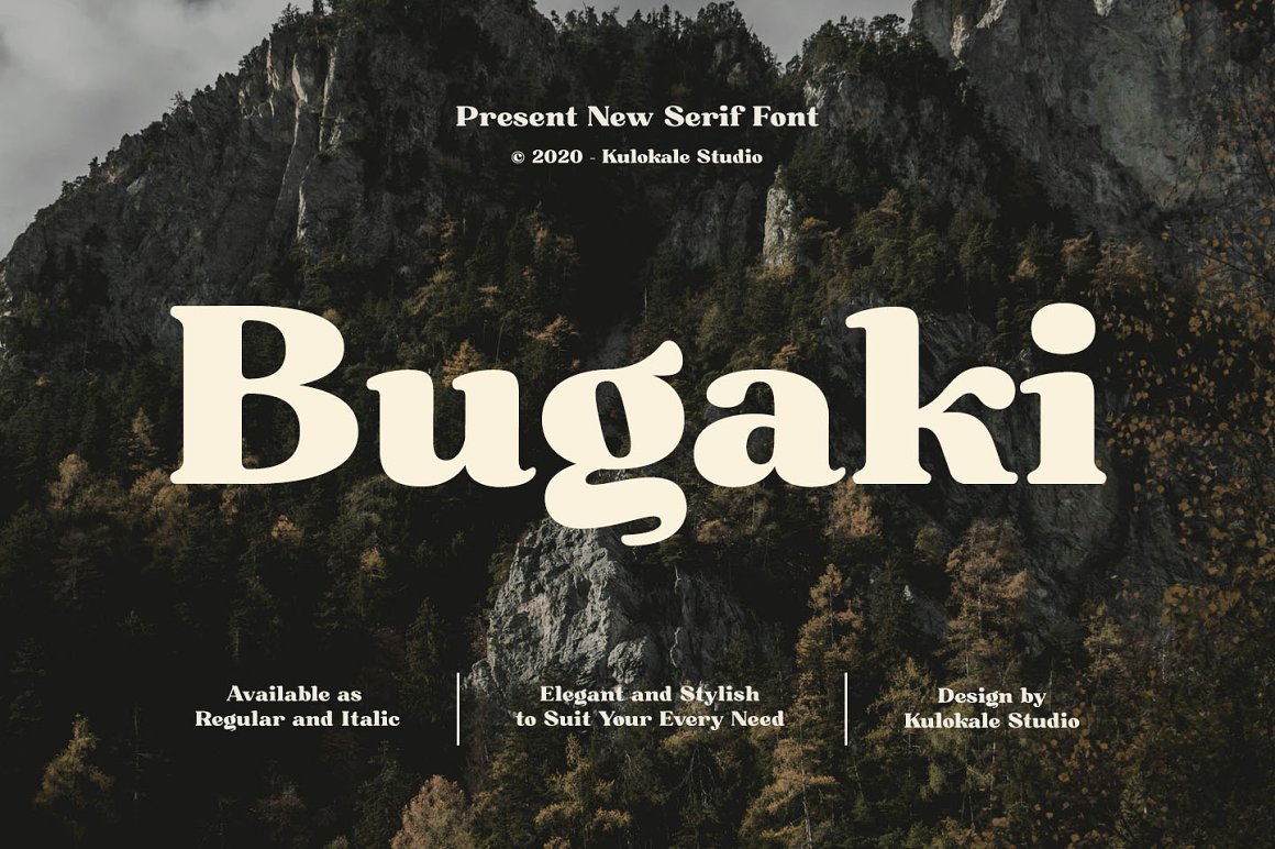 复古经典而又优雅的衬线英文字体 Bugaki - Elega
