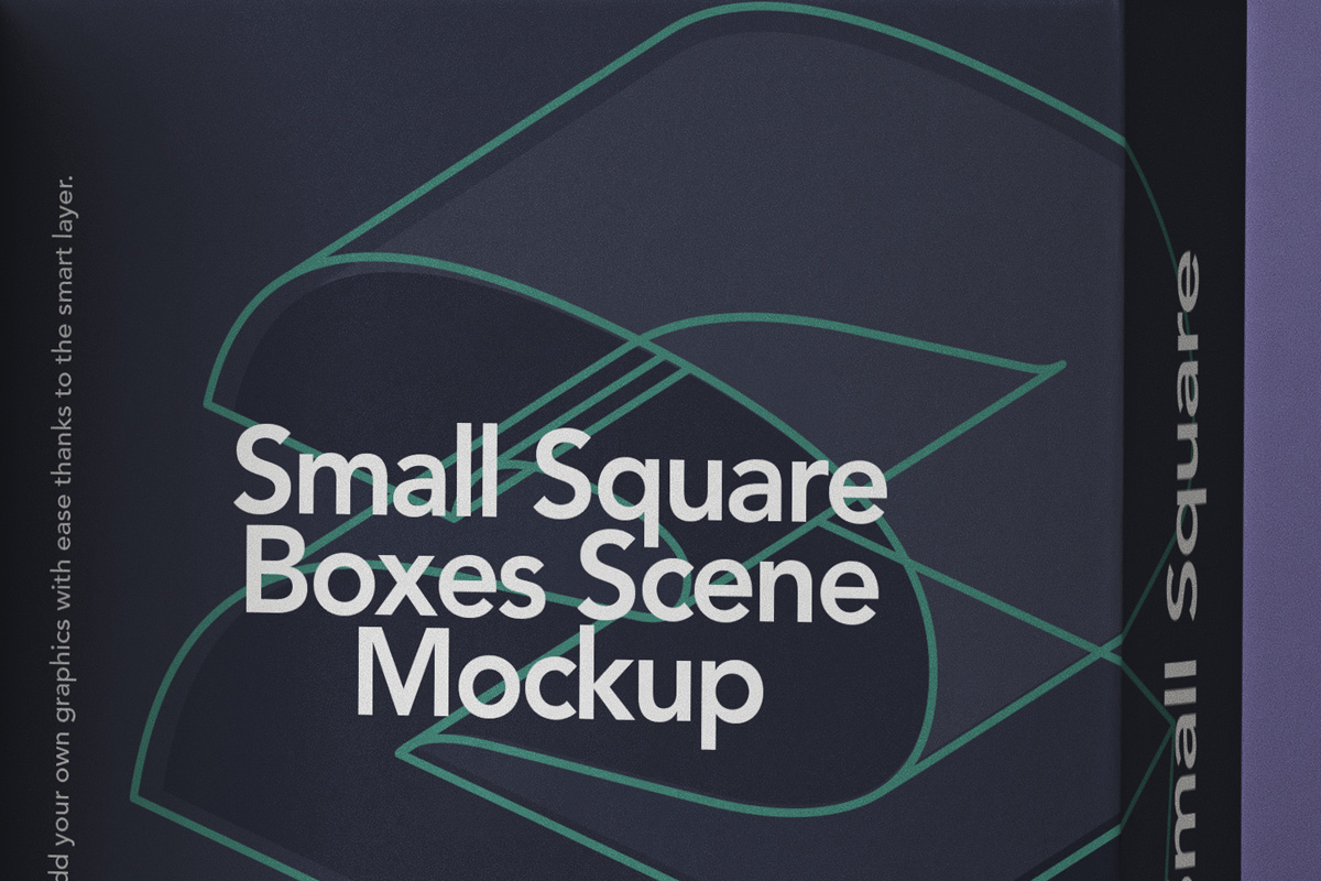 两个方形盒子包装设计提案样机模板 Small Psd Squ