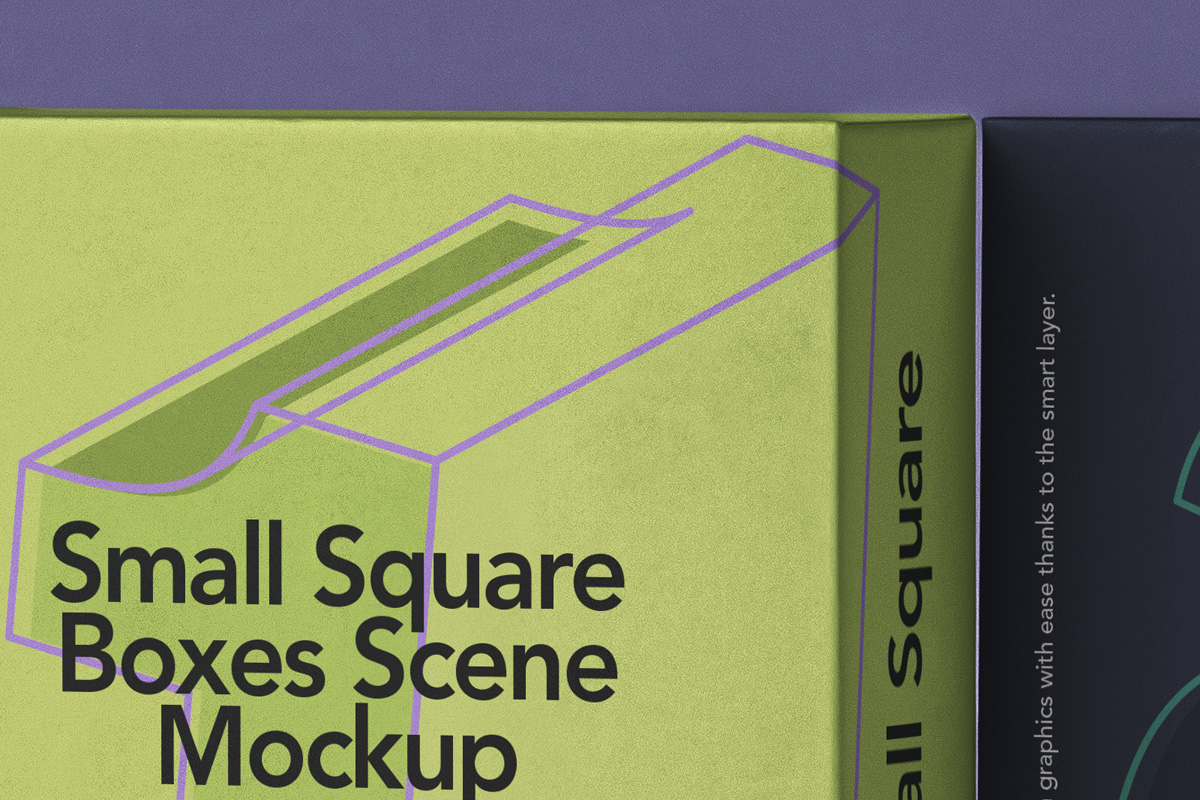 两个方形盒子包装设计提案样机模板 Small Psd Squ