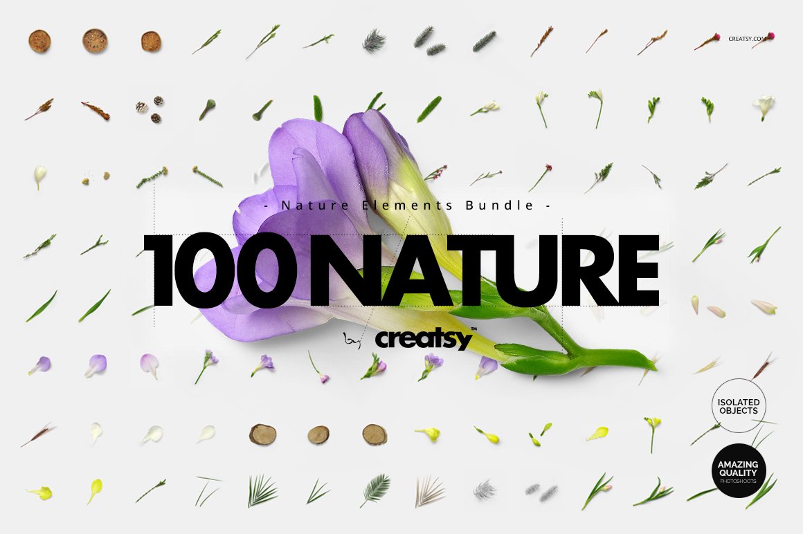 100+春季高质量大自然花卉植物装饰元素PNG免抠图合集包