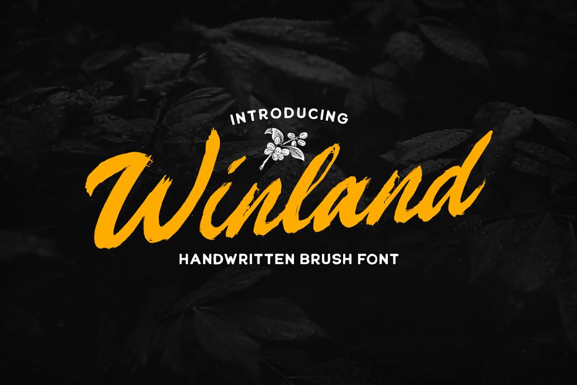 笔刷手写英文字体 Winland - Brush Font