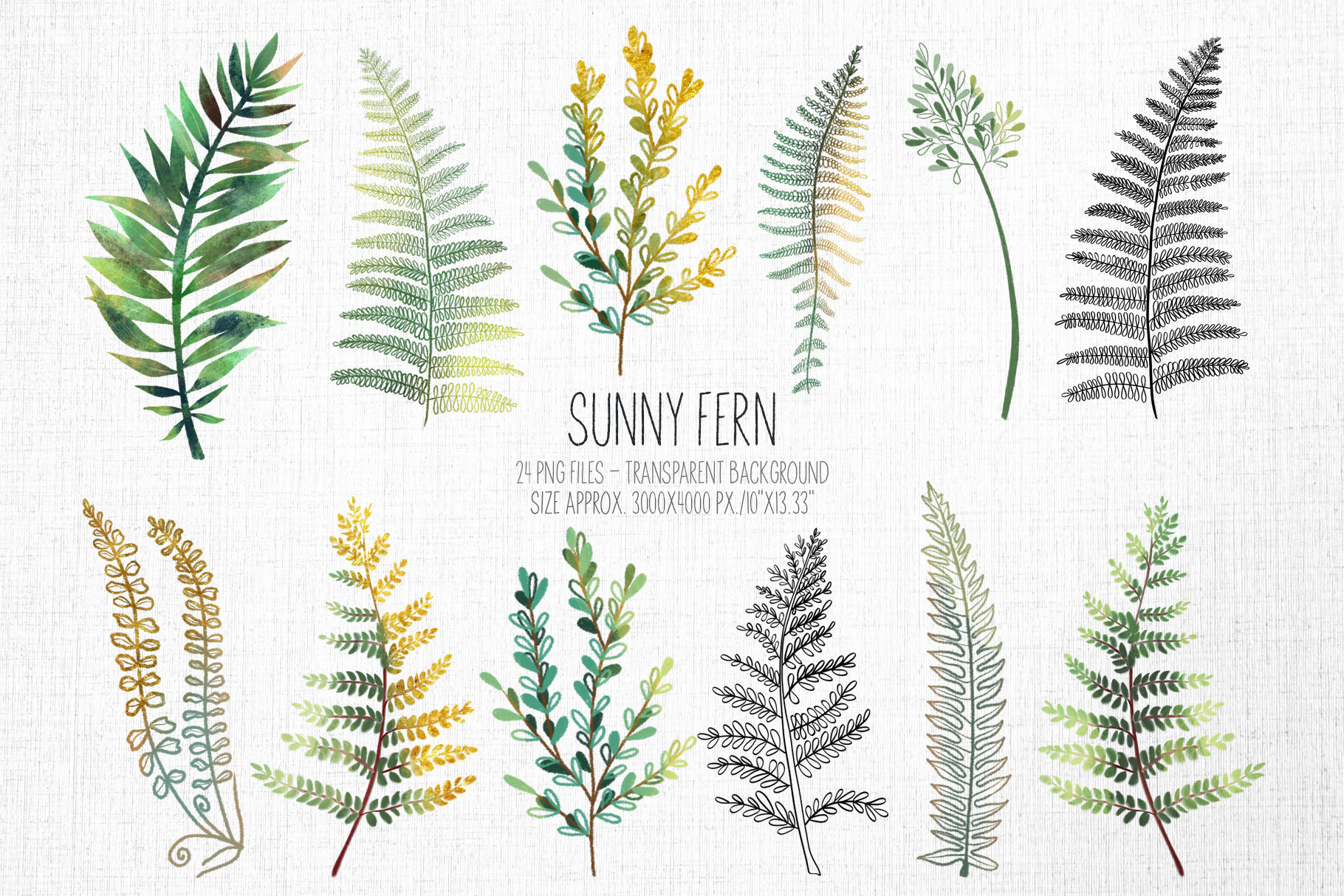 水彩手绘盛夏热带森林蕨菜树叶剪贴画素材 Sunny fern