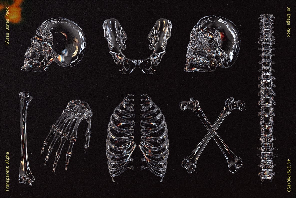 新潮流酸性艺术3D立体透明玻璃骷髅人体骨骼设计装饰元素 Gl