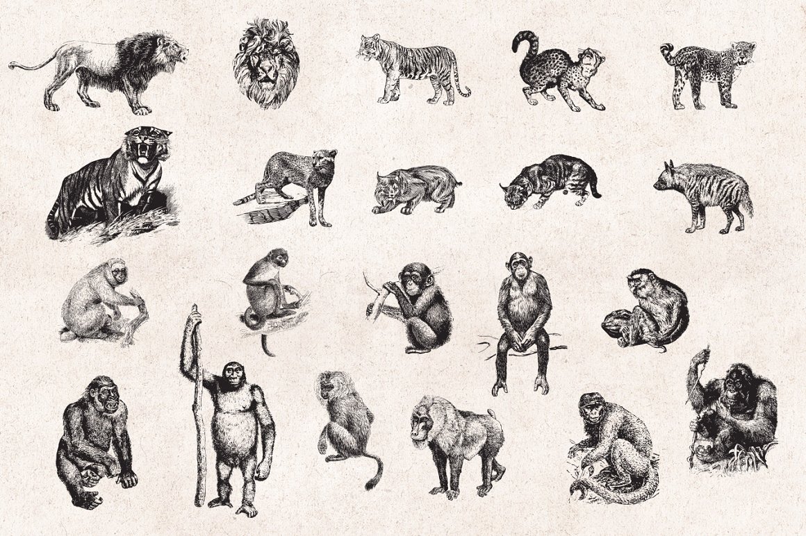 127个复古野生动物矢量雕刻剪贴画矢量素材 Wild Ani