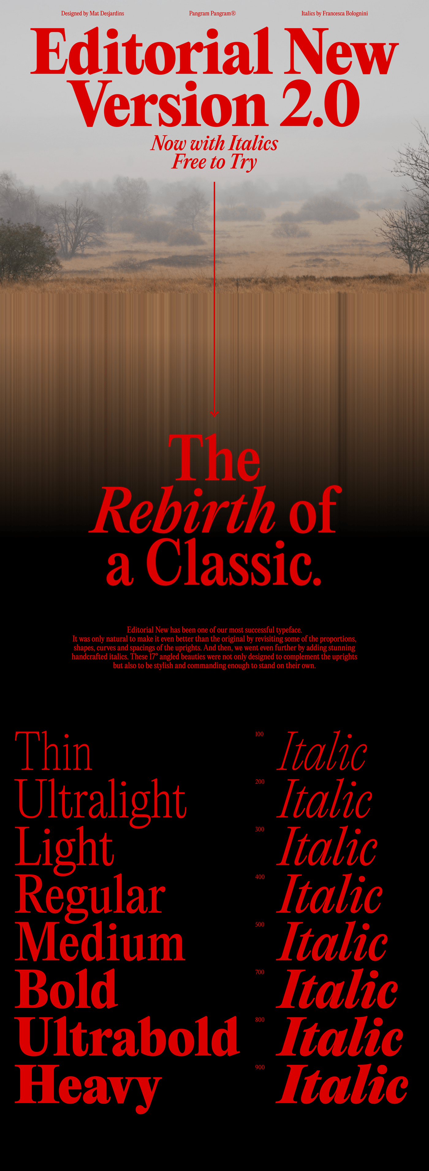 90年代中期复古风格优雅的细窄衬线英文字体 Editoria