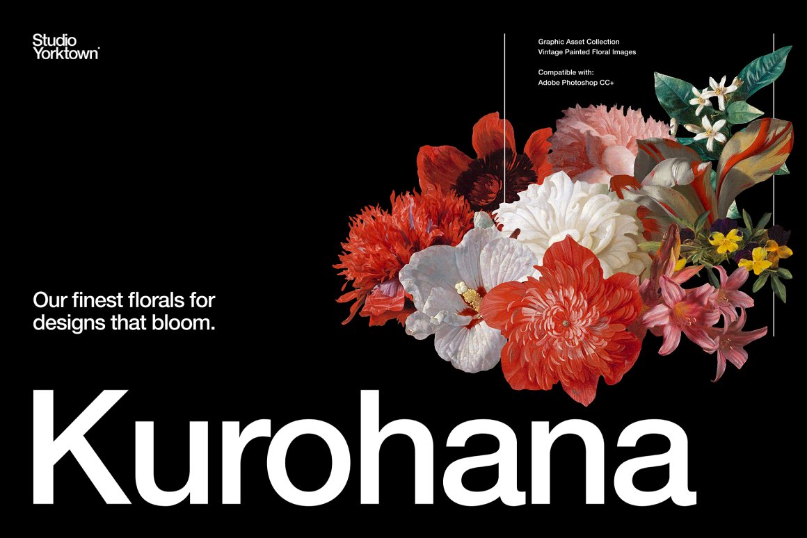 100+古典艺术品剪贴花卉PNG免抠图素材合辑 Kuroha